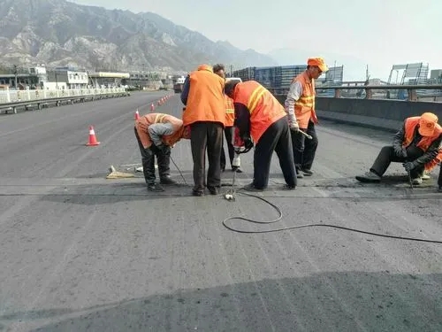 颍东道路桥梁病害治理